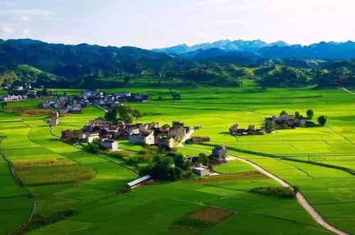 八年级下册地理教案：《青藏地区自然特征与农业》